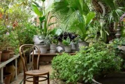 Bergs Potter Copenhagen Pot Grey, 14 Cm -Gartenmöbel Rabatte bergs potter copenhagen pot grey 11