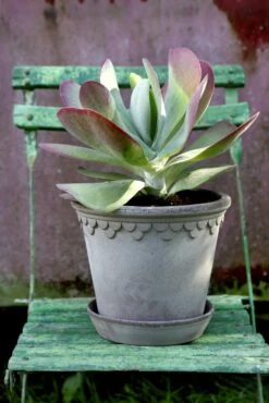 Bergs Potter Copenhagen Topf Grau, 30 Cm 6 Bergs Potter Copenhagen Topf Grau, 30 Cm -Gartenmöbel Rabatte bergs potter copenhagen topf grau 3