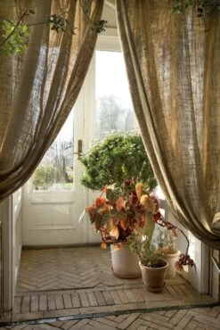 Bergs Potter Emilia Topf Rosa, 25 Cm -Gartenmöbel Rabatte bergs potter emilia topf rosa 2 1