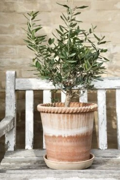 Bergs Potter Emilia Topf Rosa, 25 Cm -Gartenmöbel Rabatte bergs potter emilia topf rosa 3 1