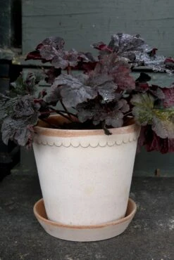 Bergs Potter Helena Topf Rosa, 25 Cm -Gartenmöbel Rabatte bergs potter helena topf rosa 2