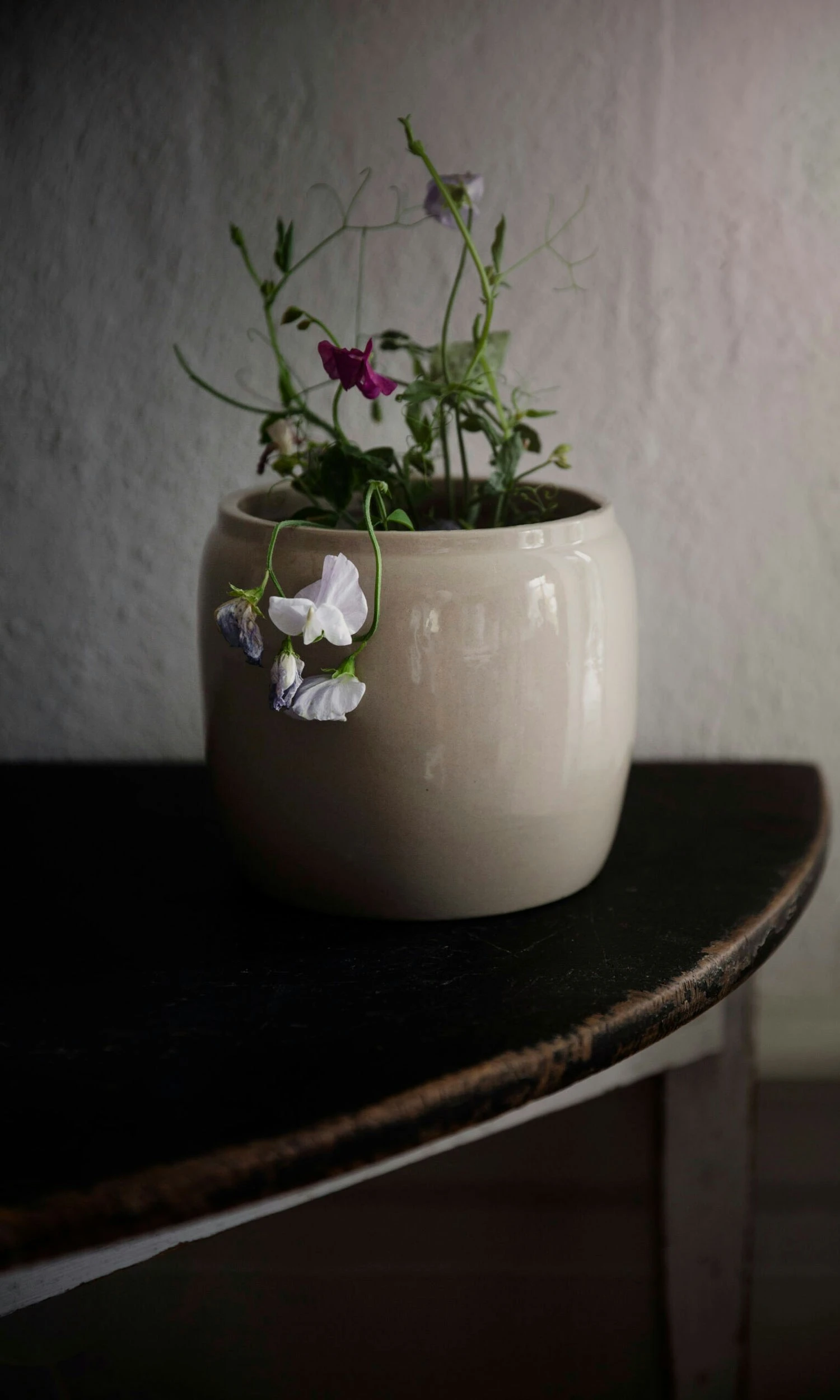 Ernst Topf Glasiert Steingut Ø17,5 Cm, Beige 2 Ernst Topf Glasiert Steingut Ø17,5 Cm, Beige – Bild 2