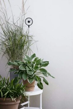 Eva Solo Thermometer Stehend -Gartenmöbel Rabatte eva solo thermometer stehend 0