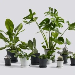 Hay Flowerpot Topf Mit Unterteller Grau, Ø11 Cm S -Gartenmöbel Rabatte hay blumentopf mit untersetzer grau 3