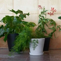 Hay Flowerpot Topf Mit Unterteller Schwarz, Ø11 Cm S -Gartenmöbel Rabatte hay blumentopf mit untersetzer schwarz 2