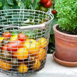 Korbo Eimer 16 Korb, Säurebeständig Rostfrei -Gartenmöbel Rabatte korbo eimer 16 korb saurebestandig rostfrei 4