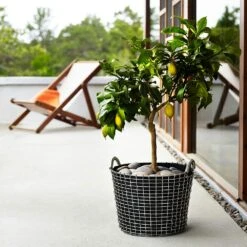 Korbo Classic 24 Korb, Säurefest Edelstahl -Gartenmöbel Rabatte korbo klassisch 24 korb saurebestandig rostfrei 6