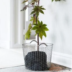 Korbo Klassisch 50 Korb, Verzinkt 7 Korbo Klassisch 50 Korb, Verzinkt -Gartenmöbel Rabatte korbo klassisch 24 korb verzinkt 13