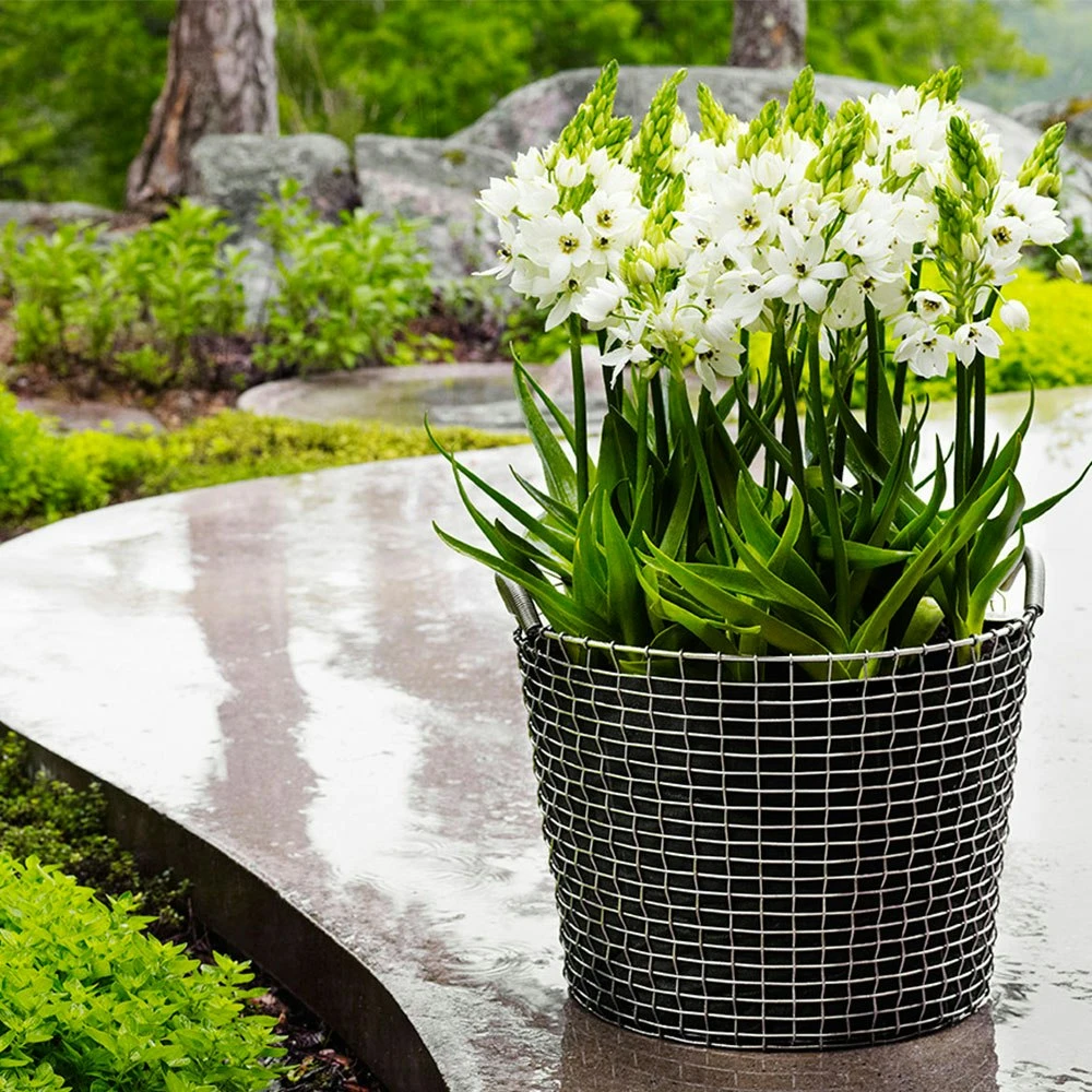 Korbo Pflanzensack 50l, 3 Stk. 2 Korbo Pflanzensack 50l, 3 Stk. – Bild 2