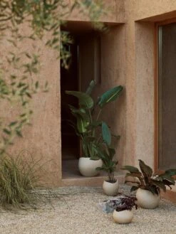 Menu Plantas Übertopf Ivory, 32 Cm -Gartenmöbel Rabatte menu plantas planter h 17 ivory 18