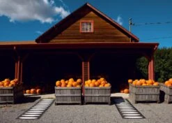 Ella Matte 70x300 Cm, Black/Vanilla -Gartenmöbel Rabatte pappelina ella matte 70x225 cm black vanilla 2 1