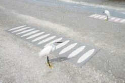 Ella Matte 70x150 Cm, Black/Vanilla -Gartenmöbel Rabatte pappelina ella matte 70x225 cm black vanilla 3