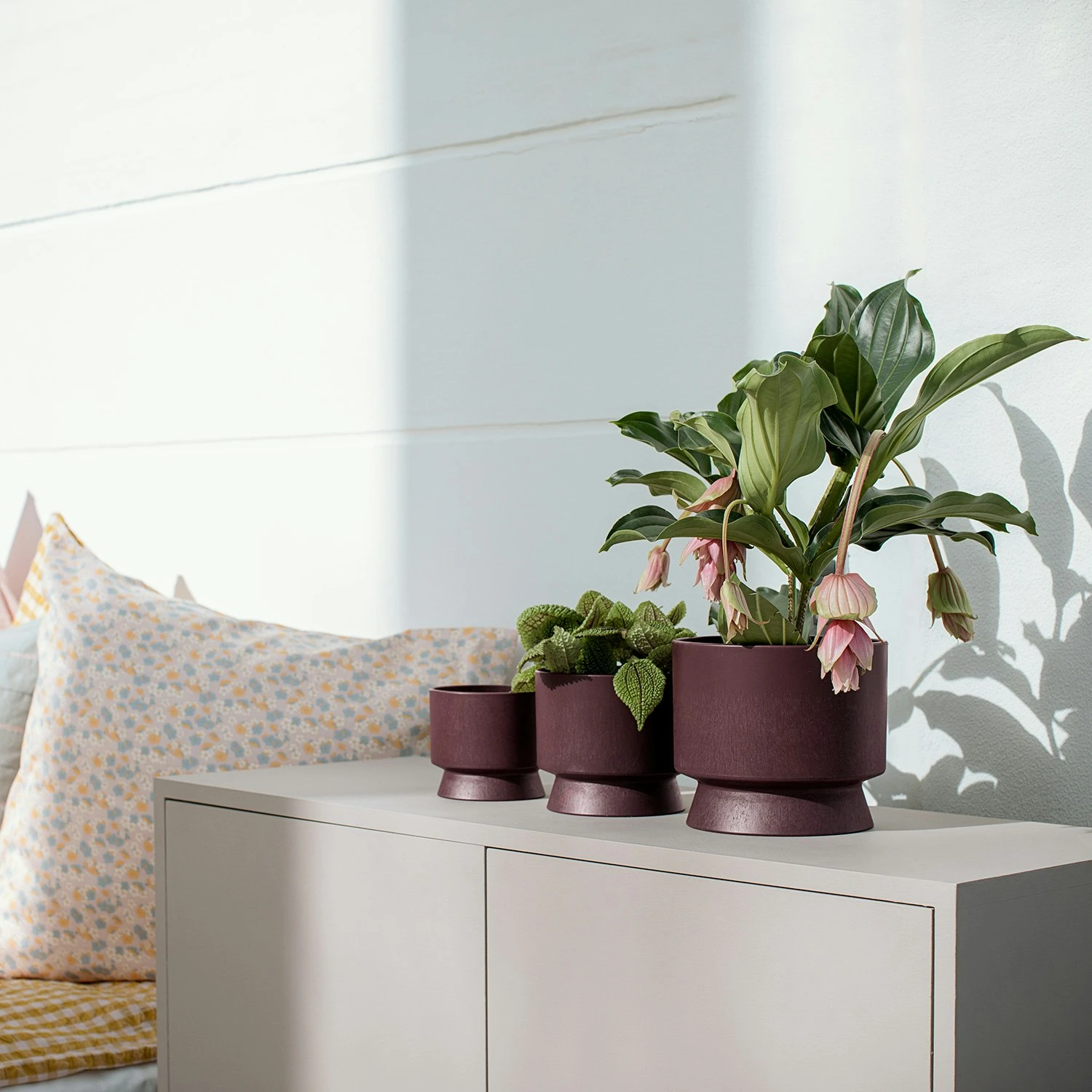 Ro Topf Bordeaux, 19 Cm 2 Ro Topf Bordeaux, 19 Cm – Bild 2