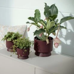 Ro Topf Bordeaux, 19 Cm 6 Ro Topf Bordeaux, 19 Cm -Gartenmöbel Rabatte rosendahl copenhagen ro topf bordeaux 2