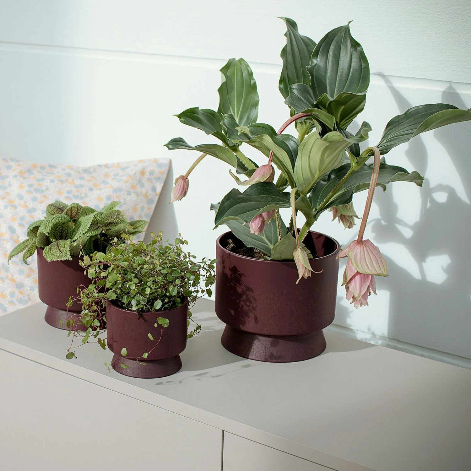 Ro Topf Bordeaux, 19 Cm 3 Ro Topf Bordeaux, 19 Cm – Bild 3