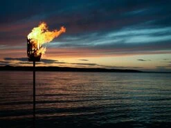 Feuerkorb Original, Ungebürstetes Stahl -Gartenmöbel Rabatte roshults feuerkorb original ungeburstetes stahl 5