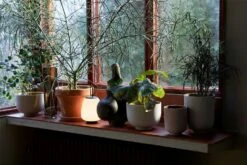 &Tradition Collect SC69 Übertopf SC69 Ø12x13 Cm, Milk -Gartenmöbel Rabatte tradition collect ubertopf sc69 dia12 x h13 cm 1 1