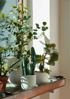 &Tradition Collect SC69 Übertopf SC69 Ø12x13 Cm, Milk -Gartenmöbel Rabatte tradition collect ubertopf sc69 dia12 x h13 cm 18