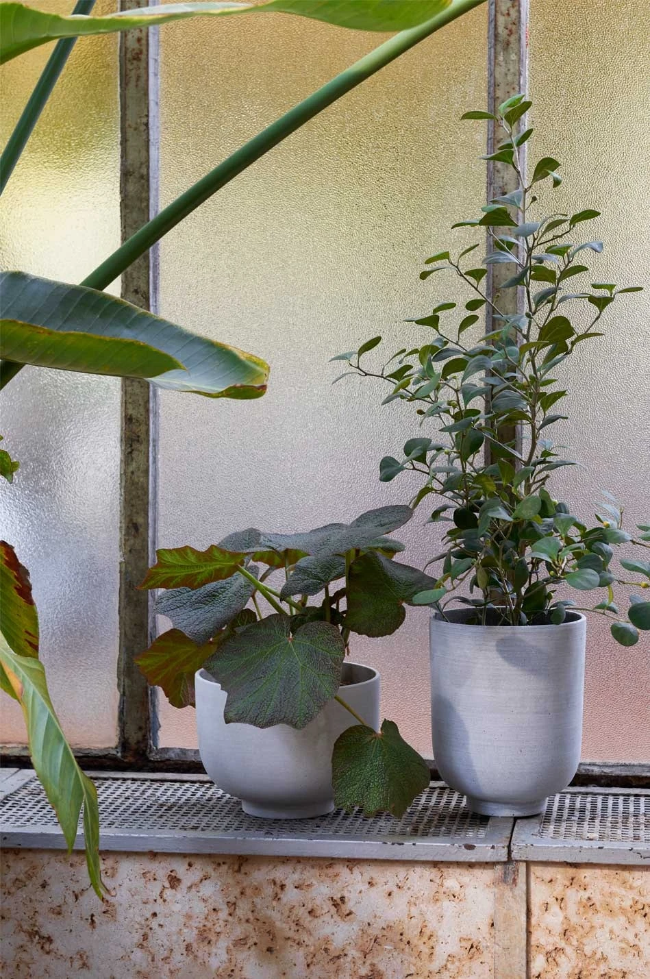 &Tradition Collect Übertopf Ø15x18 Cm, Sky 6 &Tradition Collect Übertopf Ø15x18 Cm, Sky – Bild 6