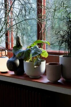 &Tradition Collect Übertopf Ø20x24 Cm, Slate -Gartenmöbel Rabatte tradition collect ubertopf sc72 dia20 x h24 cm 2 2